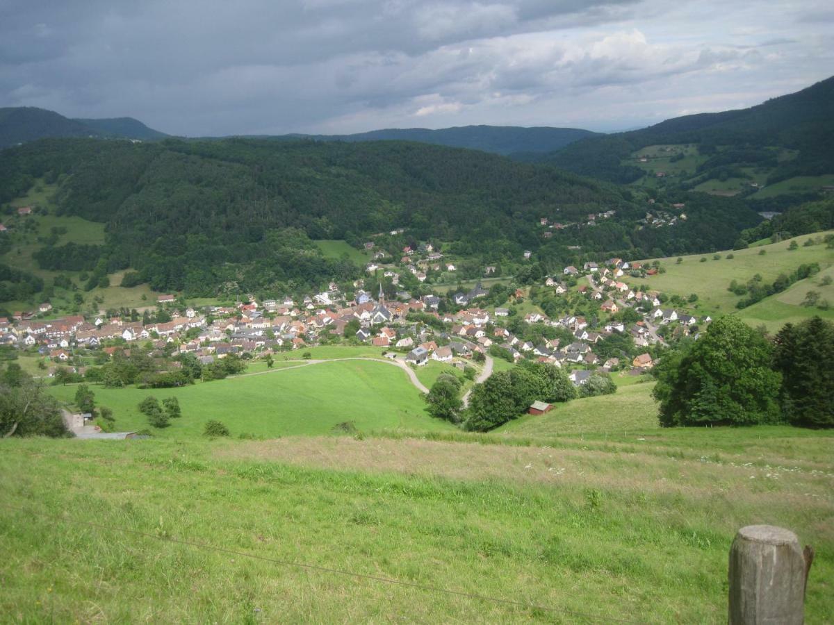 Gite En Pleine Verdure Au Coeur Du Village Lapoutroie Zewnętrze zdjęcie